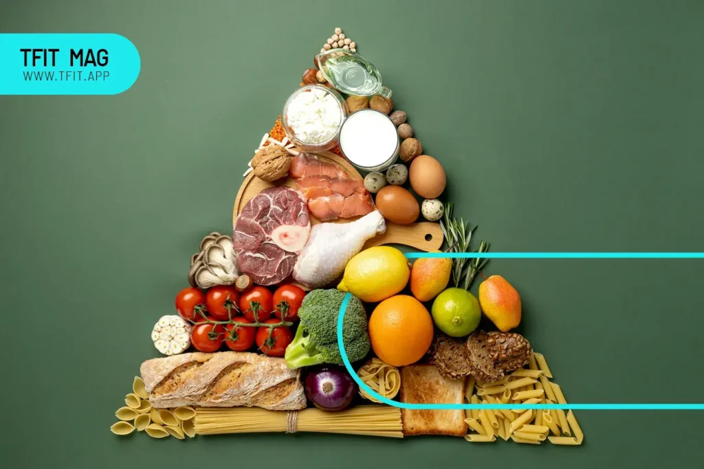 یک هرم غذایی نشان می دهد ترتیب مواد غذایی برای تعادل و افزایش وزن صحیح مناسب است